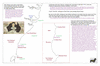 coo1e08 wollongong coast_thumb.gif